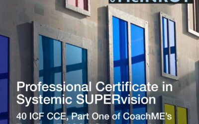 CoachME SUPERvision Programme